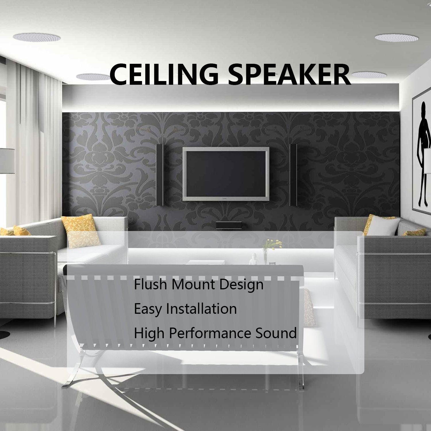 Ceiling Speaker